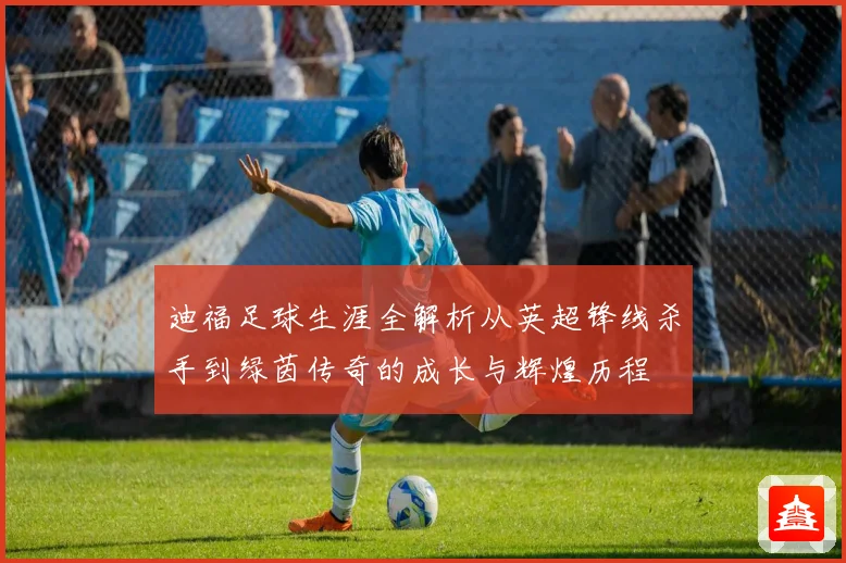 迪福足球生涯全解析从英超锋线杀手到绿茵传奇的成长与辉煌历程