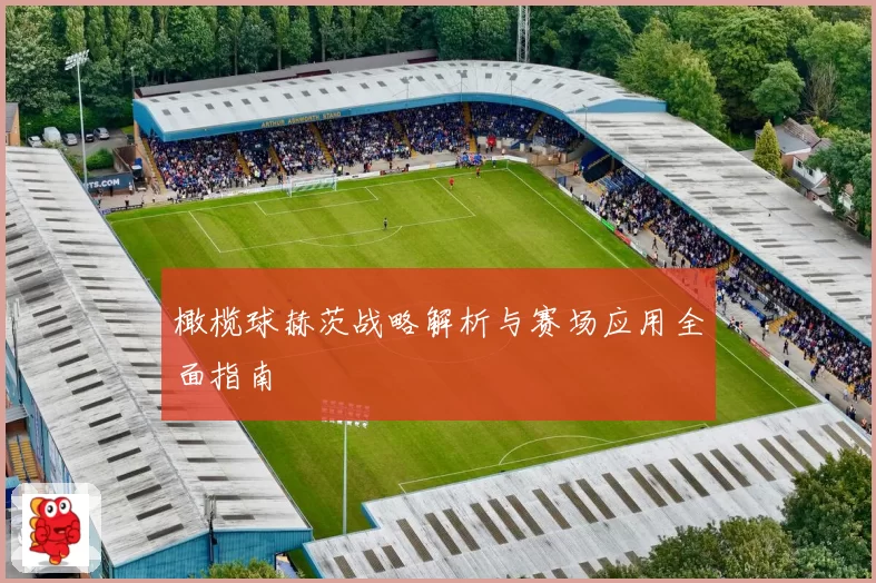 橄榄球赫茨战略解析与赛场应用全面指南