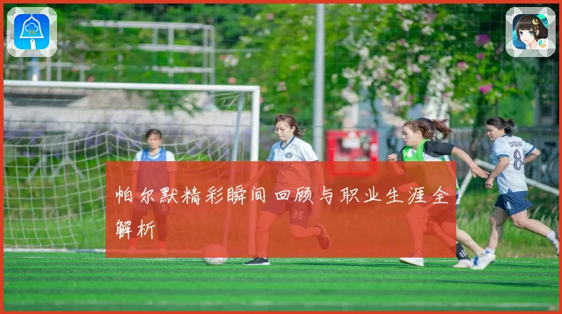 帕尔默精彩瞬间回顾与职业生涯全解析