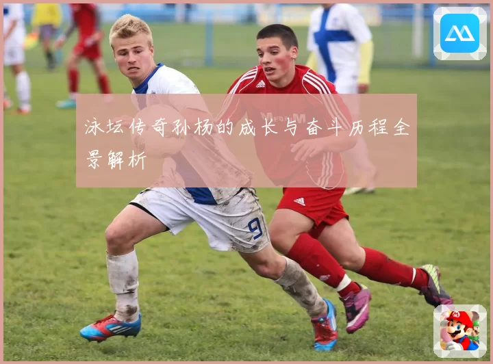 泳坛传奇孙杨的成长与奋斗历程全景解析