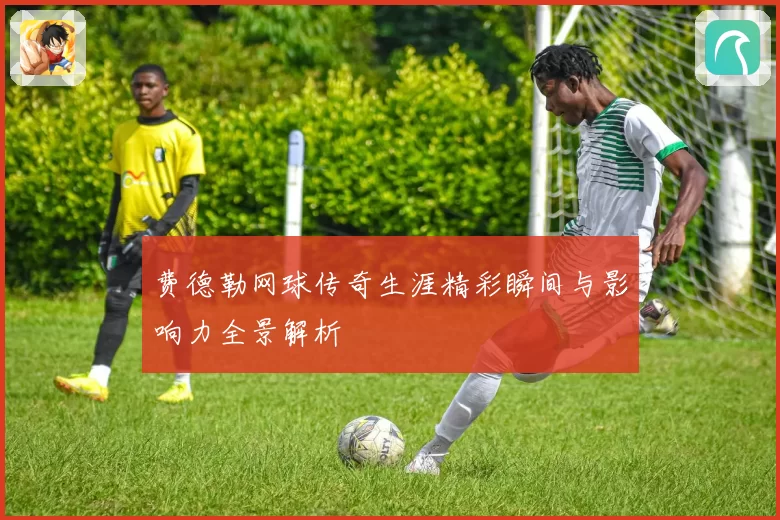 费德勒网球传奇生涯精彩瞬间与影响力全景解析
