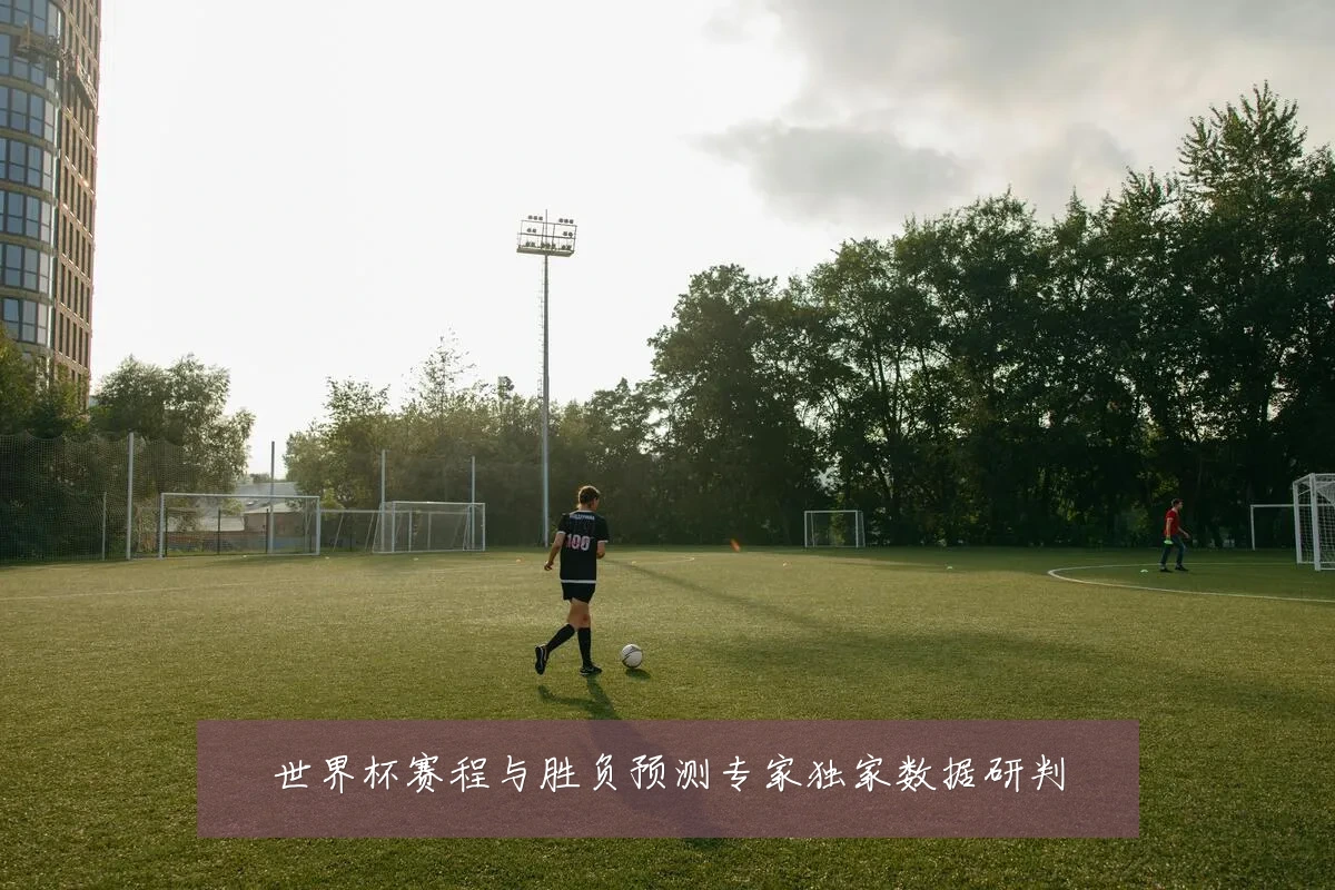 世界杯赛程与胜负预测专家独家数据研判